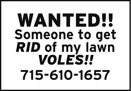 Wanted! Someone to Get Rid of My Lawn Voles!, 715-610-1657