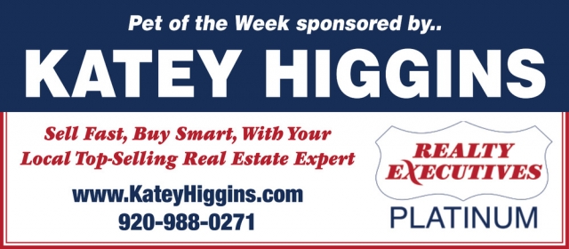 Realty Executive Platinum, Katey Higgins - Realty Executive Platinum, Watertown, WI