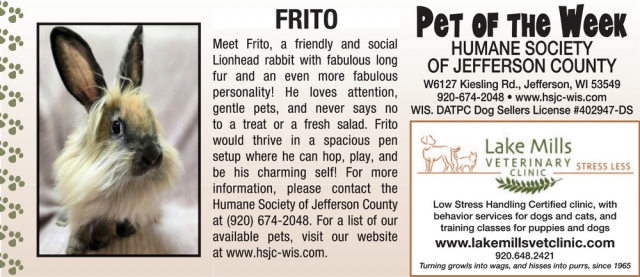 Pet of The Week, Lake Mills Veterinary Clinic, Lake Mills, WI