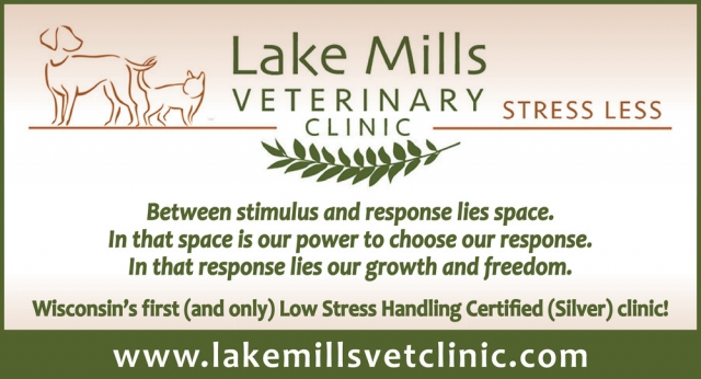 Veterinary Clinic, Lake Mills Veterinary Clinic, Lake Mills, WI