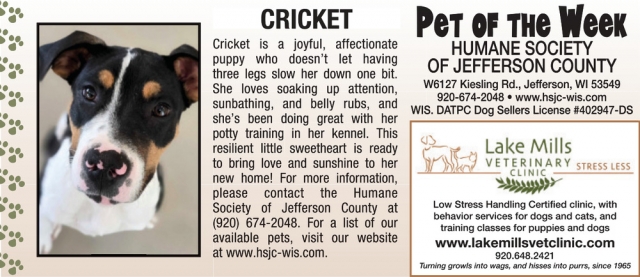 Pet of The Week, Lake Mills Veterinary Clinic, Lake Mills, WI