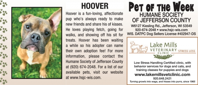 Pet of the Week, Lake Mills Veterinary Clinic, Lake Mills, WI