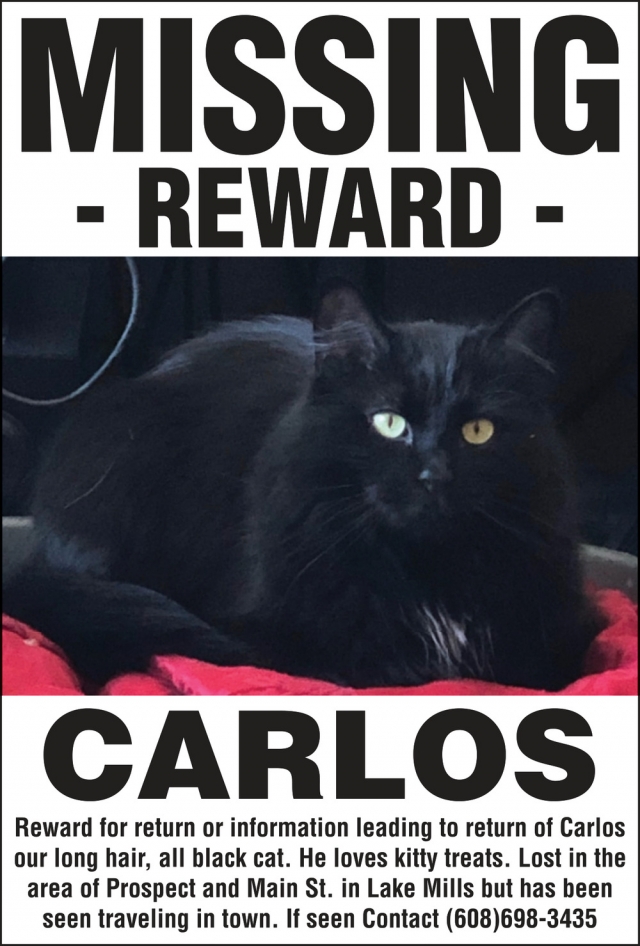 Missing, 608-698-3435