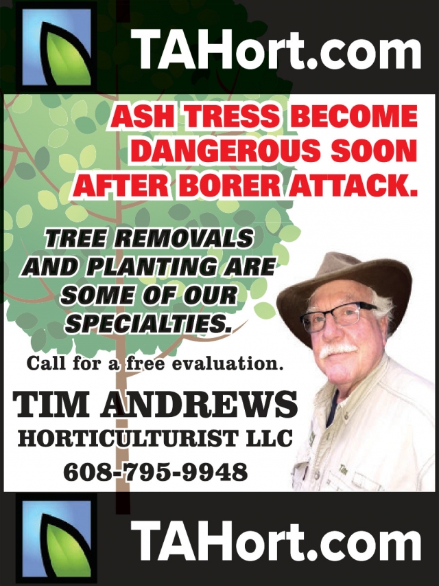 Tree Removals, Tim Andrews Horticulturist LLC, Mazomanie, WI