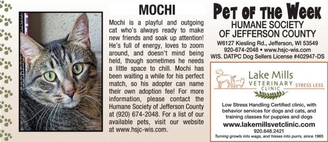 Pet of The Week, Lake Mills Veterinary Clinic, Lake Mills, WI