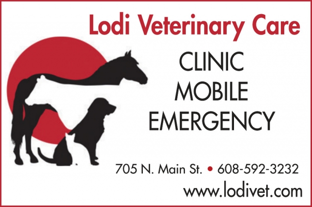 Clinic Mobile Emergency, Lodi Veterinary Care, Portage, WI