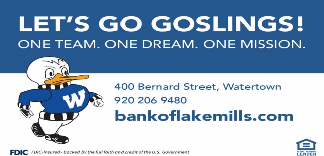 Let's Go Goslings!, Bank of Lake Mills, Lake Mills, WI