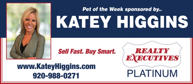 Realty Executive Platinum, Katey Higgins - Realty Executive Platinum, Watertown, WI