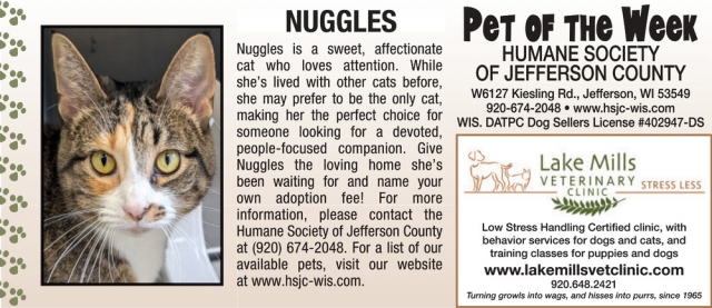 Nuggles, Lake Mills Veterinary Clinic, Lake Mills, WI