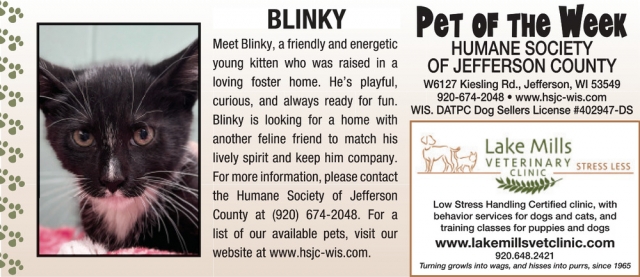 Pet of The Week, Lake Mills Veterinary Clinic, Lake Mills, WI