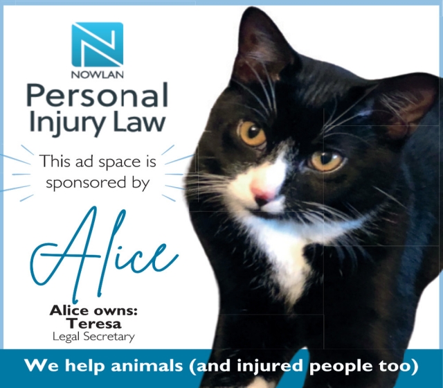 Personal Injury Law, Nowlan Law LLP, Janesville, WI