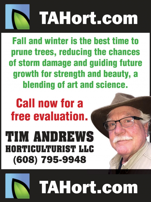 Fall and Winter Is the Best Time to Prune Trees, Tim Andrews Horticulturist LLC, Mazomanie, WI