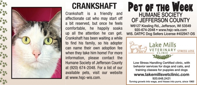 Pet of The Week, Lake Mills Veterinary Clinic, Lake Mills, WI