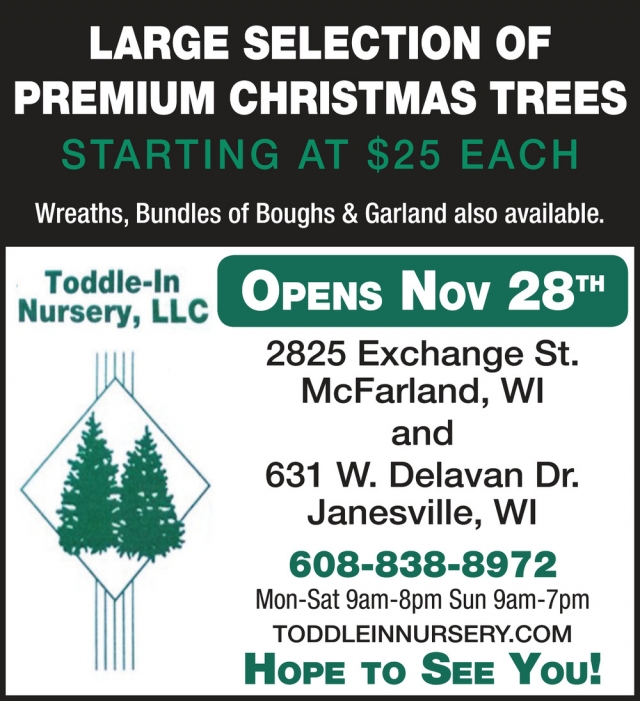 Large Selection of Premium Christmas Trees, Toddle-In Nursery, LLC, Mcfarland, WI