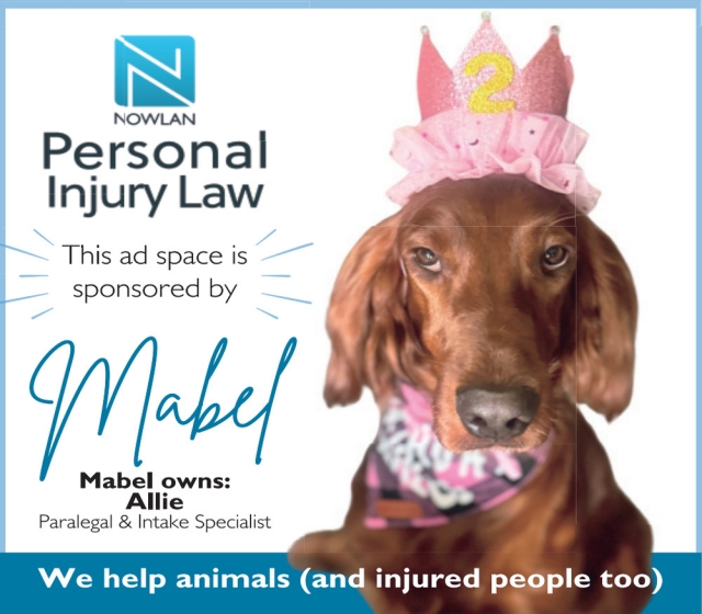 Personal Injury Law, Nowlan Law LLP, Janesville, WI