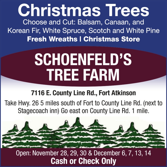 Christmas Trees, Schoenfeld's Tree Farm, Fort Atkinson, WI