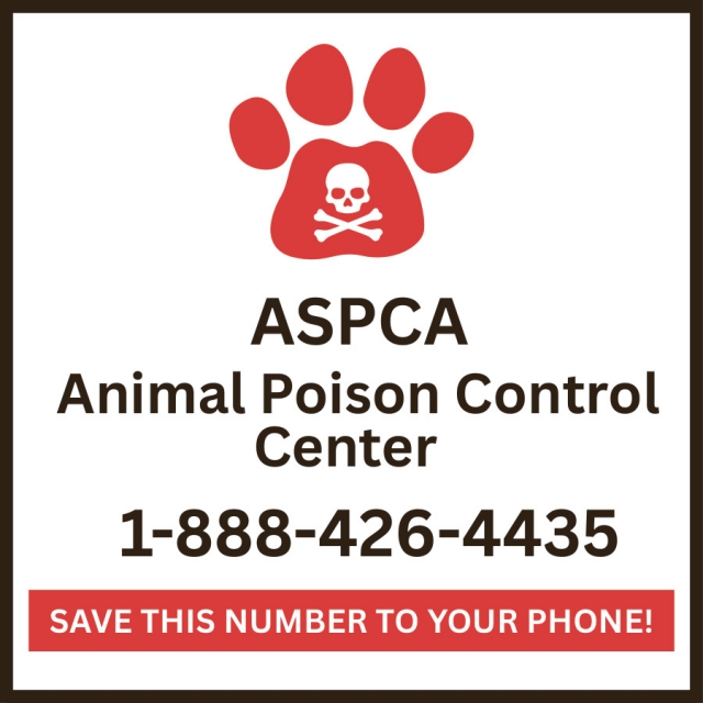 Save This Number to Your Phone!, Animal Poison Control Center