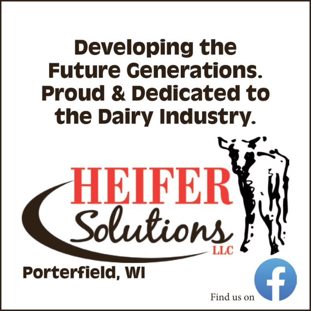 Developing The Future Generations, Heifer Solutions LLC