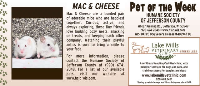 Pet of The Week Humane Society of Jefferson Conty, Lake Mills Veterinary Clinic, Lake Mills, WI