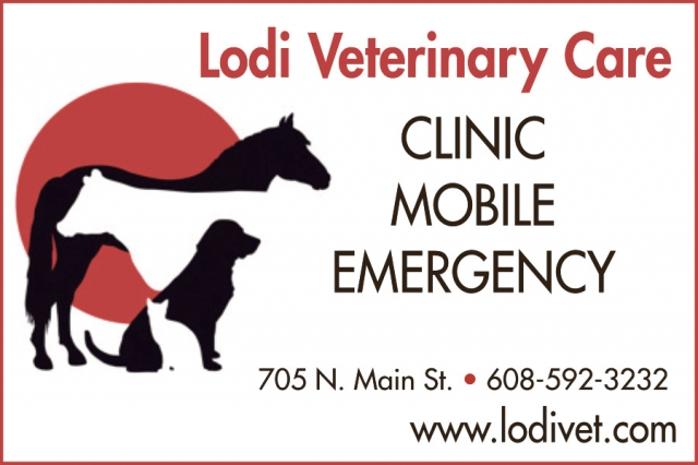 Clinic Mobile Emergency, Lodi Veterinary Care, Portage, WI