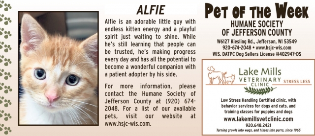 Pet of The Week Humane Society of Jefferson Conty, Lake Mills Veterinary Clinic, Lake Mills, WI