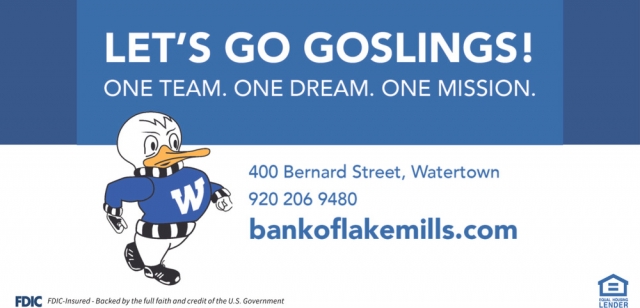 Let's Go Goslings!, Bank of Lake Mills, Lake Mills, WI