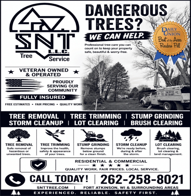 Dangerous Trees? We Can Help., SNT Tree Service