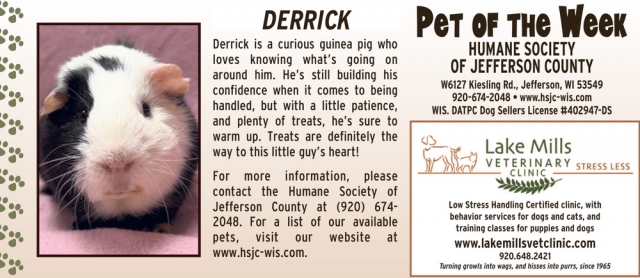 Pet of The Week Derrick, Lake Mills Veterinary Clinic, Lake Mills, WI