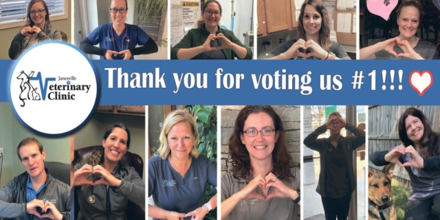 Thank you for voting us #1!!!, Janesville Veterinary Clinic, Ltd, Janesville, WI