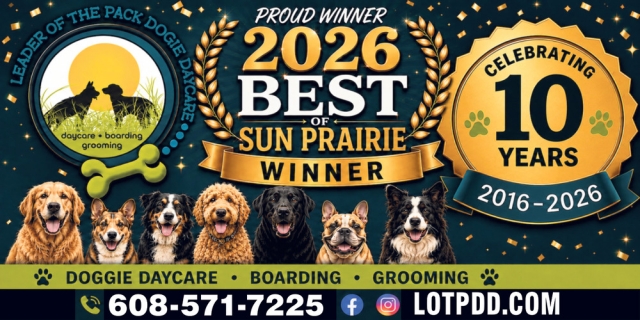 Proud Winner 2026 Best of Sun Prairie, Leader of The Pack Doggie Daycare