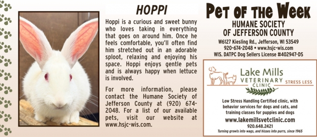 Pet of The Week Hoppi, Lake Mills Veterinary Clinic, Lake Mills, WI