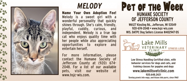 Pet of The Week Melody, Lake Mills Veterinary Clinic, Lake Mills, WI