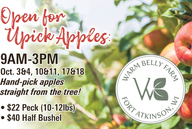 Hand-Pick Apples Straight From The Tree!, Warm Belly Farm - Cottage Grove, Fort Atkinson, WI