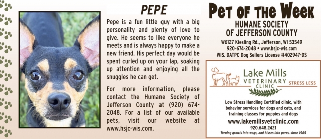 Pet of The Week Pepe, Lake Mills Veterinary Clinic, Lake Mills, WI
