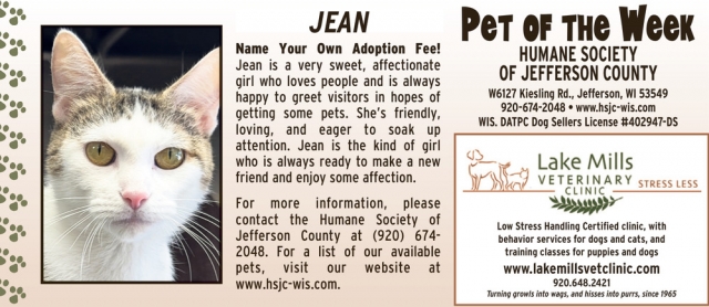 Pet of The Week Jean, Lake Mills Veterinary Clinic, Lake Mills, WI