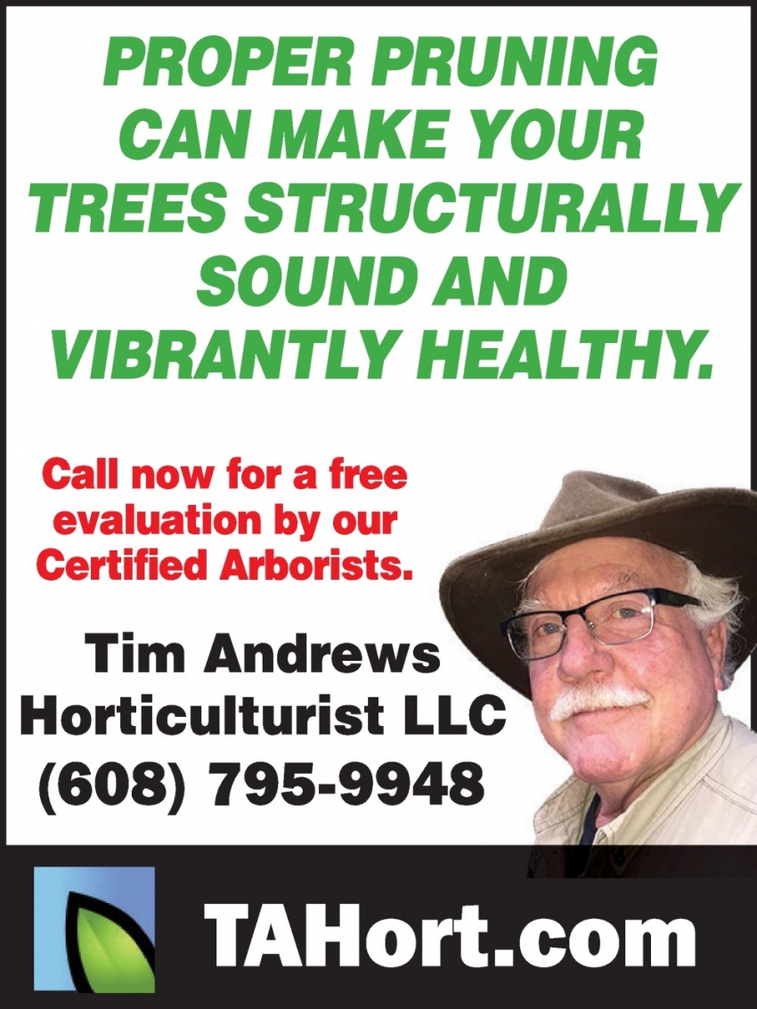 Call Now 
