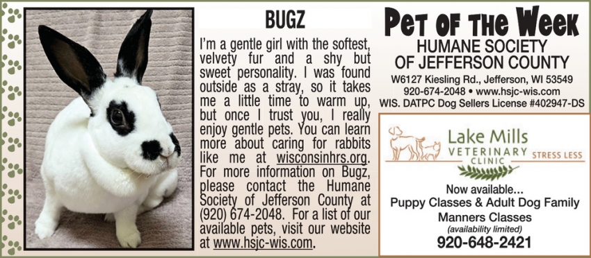 Pet of the Week