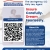 Insurance Services