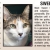 Pet of The Week