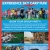 Experience Sky Carp Fun!