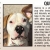 Pet of The Week