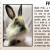 Pet of The Week