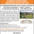 Online Real Estate Auction