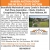 Online Real Estate Auction