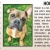 Pet of the Week