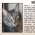 Pet of The Week