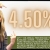 Legacy Rewards Checking Account