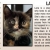 Pet of The Week