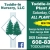 Toddle-In Nursery Plant Auction