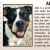 Pet of The Week